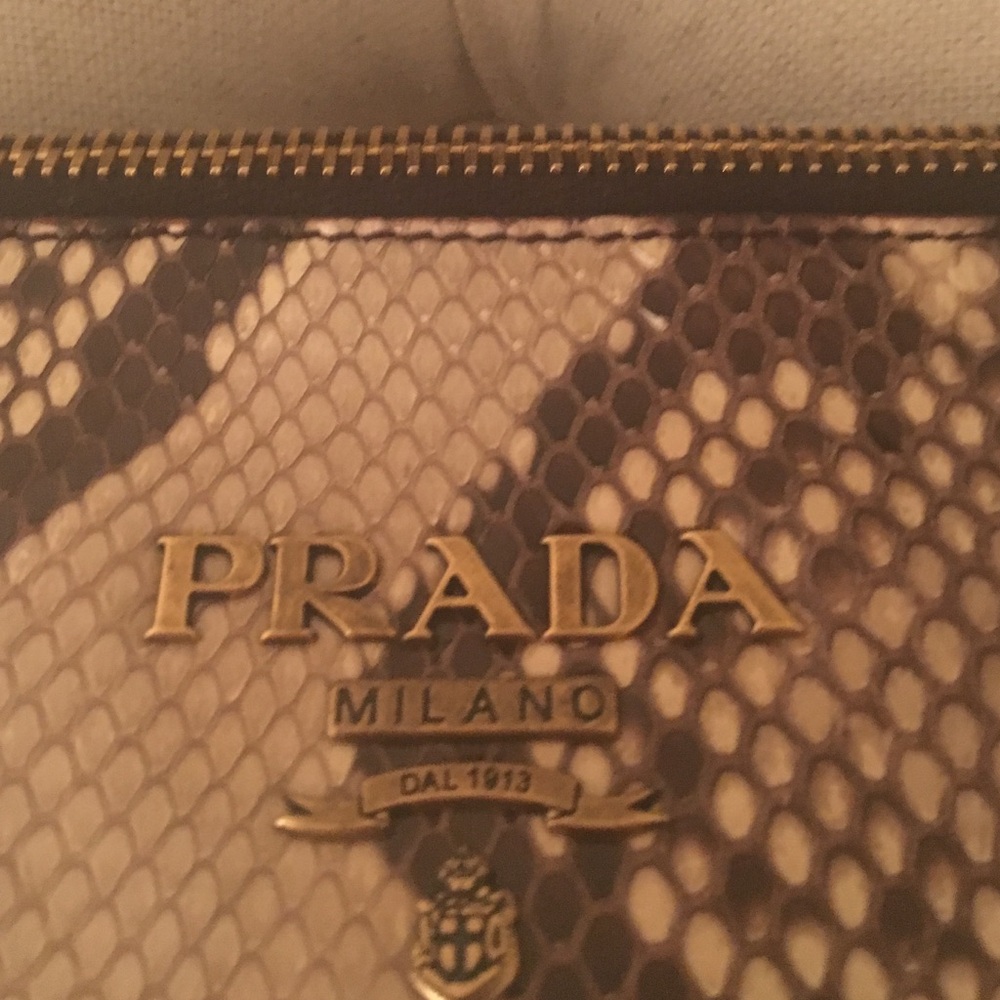 Prada Snakeskin Pattern Clutch - Brown and Black - Picture 2 of 4